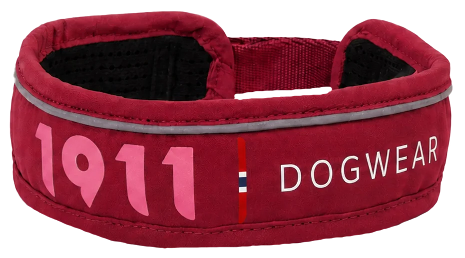 Odin Collar product shot